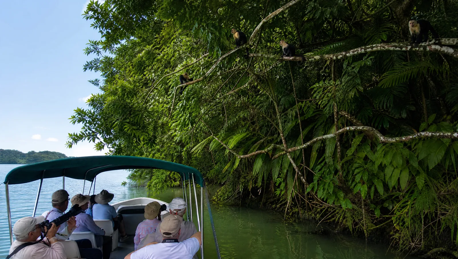 Expedición en bote por el lago Gatún