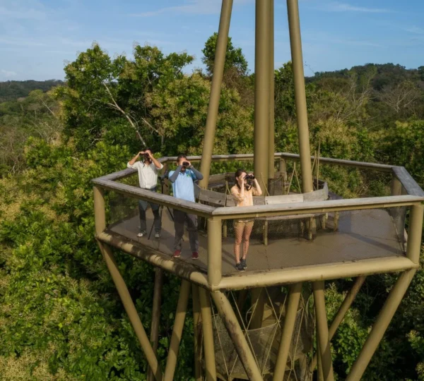 large-Gamboa Rainforest Reserve, Province of Panama (1)-min