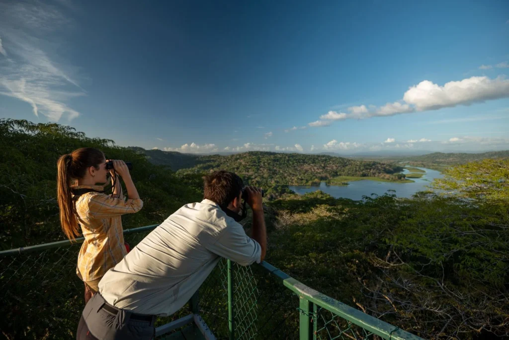 large-Gamboa Rainforest Reserve, Province of Panama (2)-min