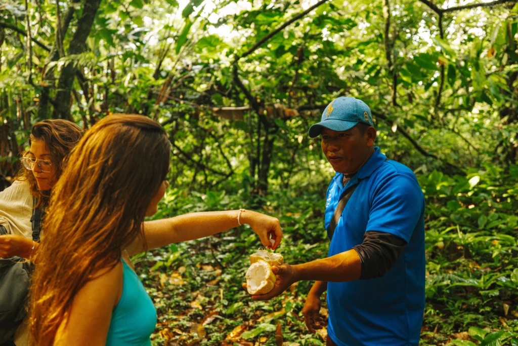 La Loma Cacao Farm, Isla Bastimentos, Bocas del Toro Province