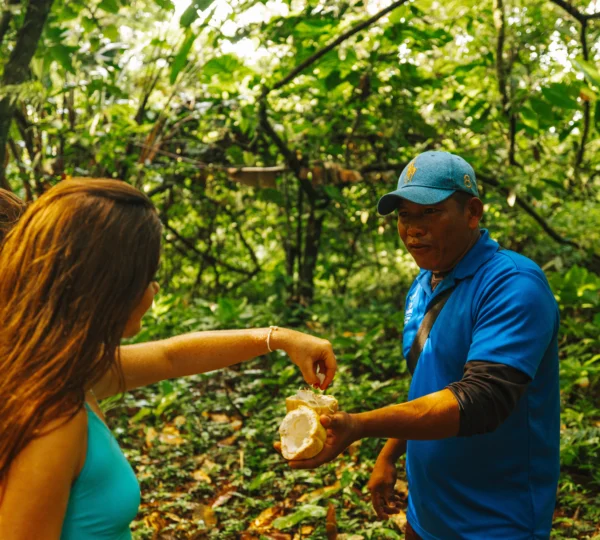 La Loma Cacao Farm, Isla Bastimentos, Bocas del Toro Province